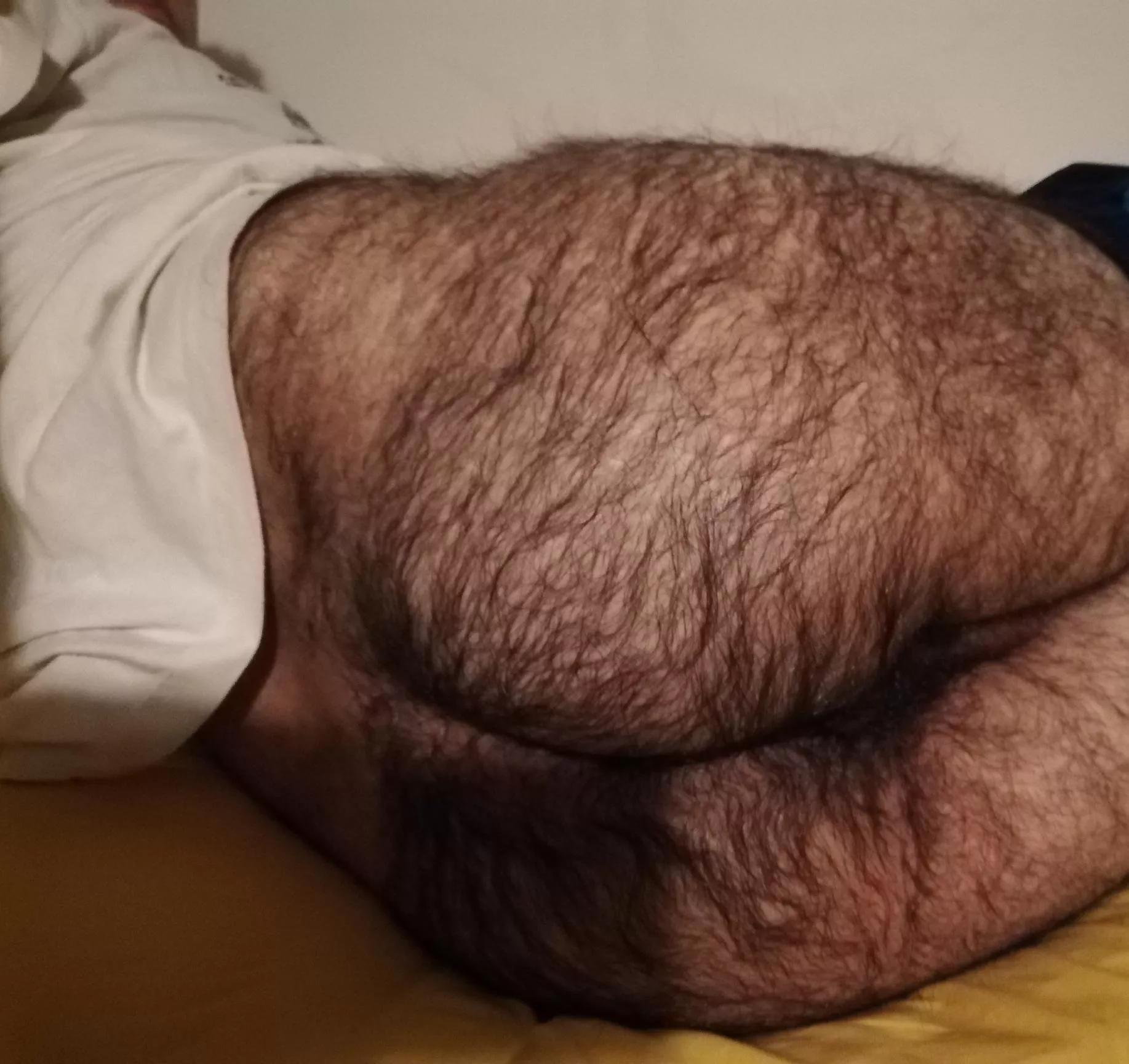 My darkhairy ass for you! posted by Hairypanter