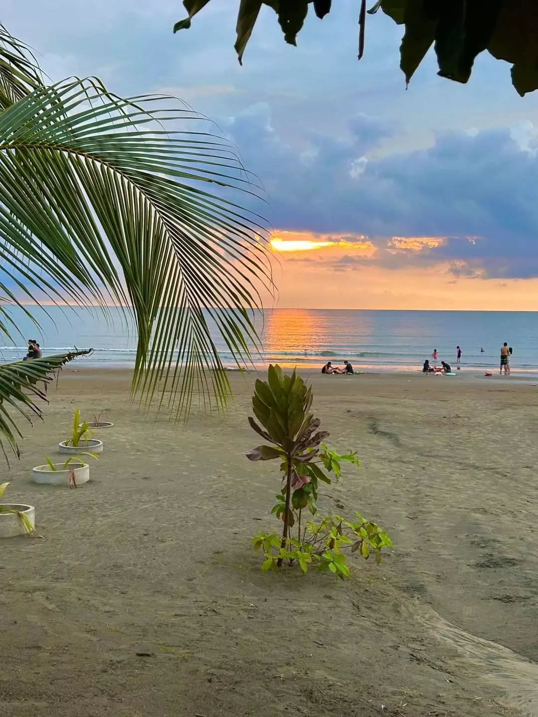 Quick escape.  posted by PLAYFULKas