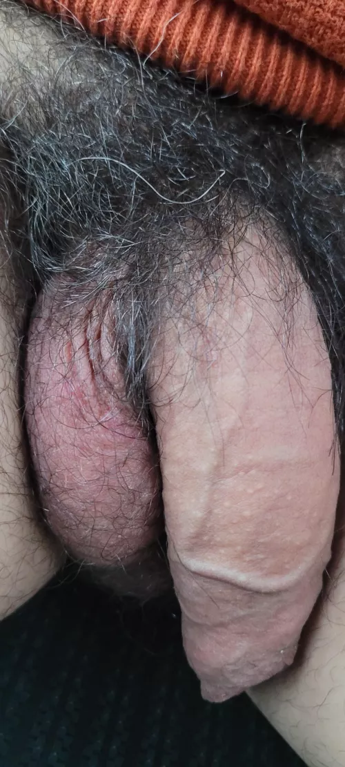 road trip to full bush mode! by Tmanshow