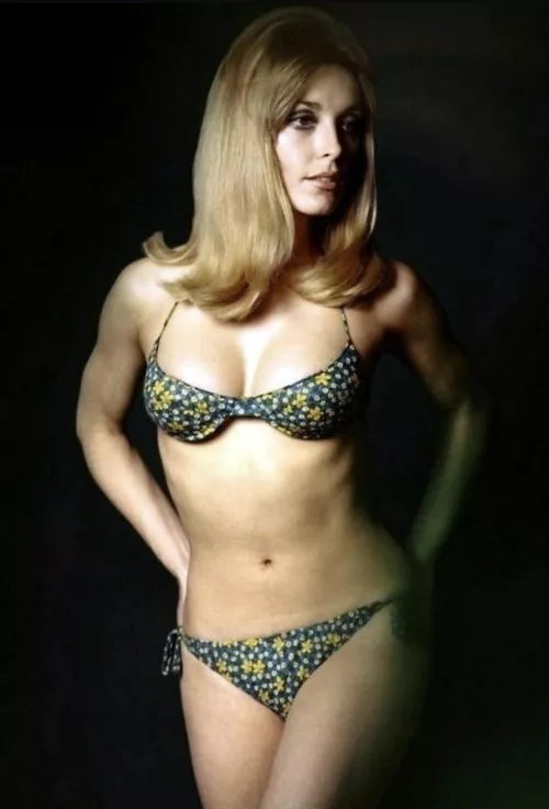 Sharon Tate(1967) by Some-Ad2899