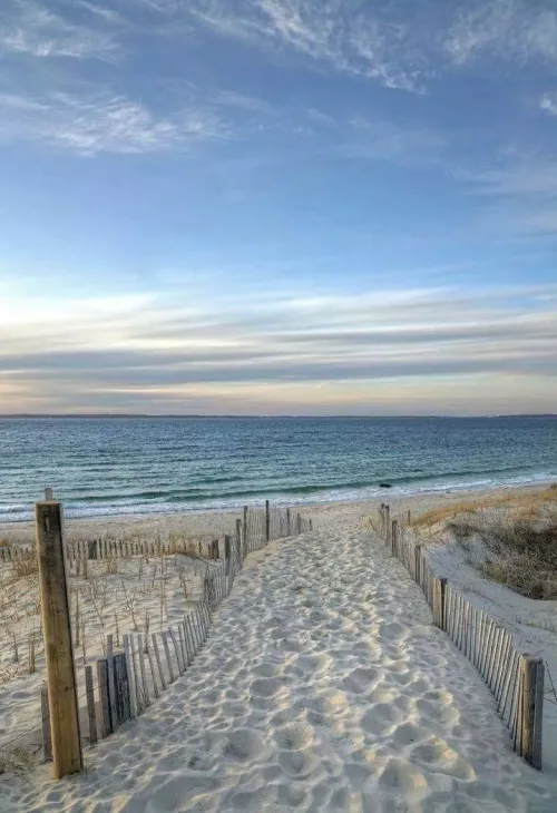 Solitude by the shore 🌊🏖️ by dragoncomic