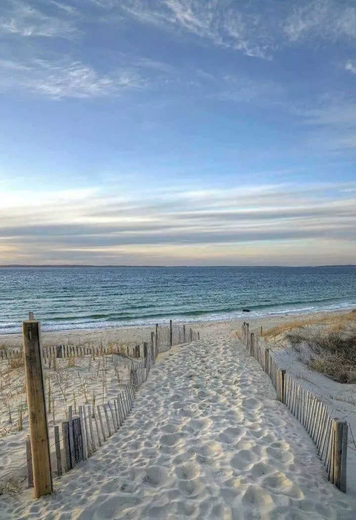 Solitude by the shore 🌊🏖️ posted by dragoncomic