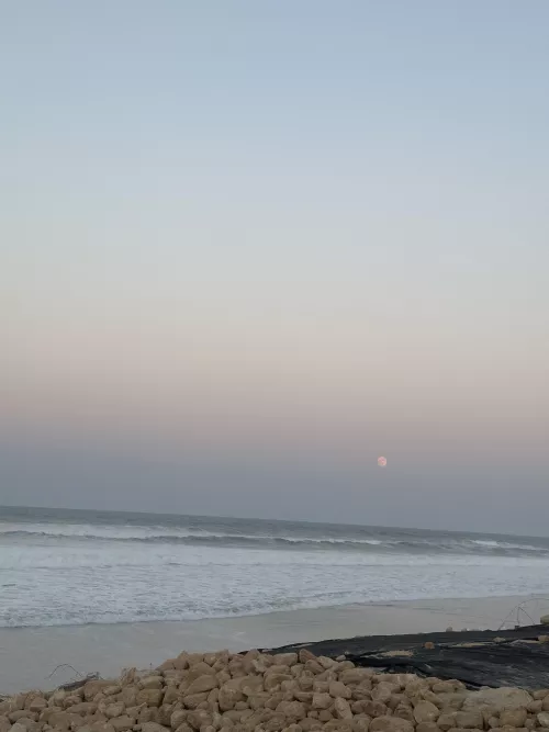 Sundown at the beach  by Sophia_Coxx