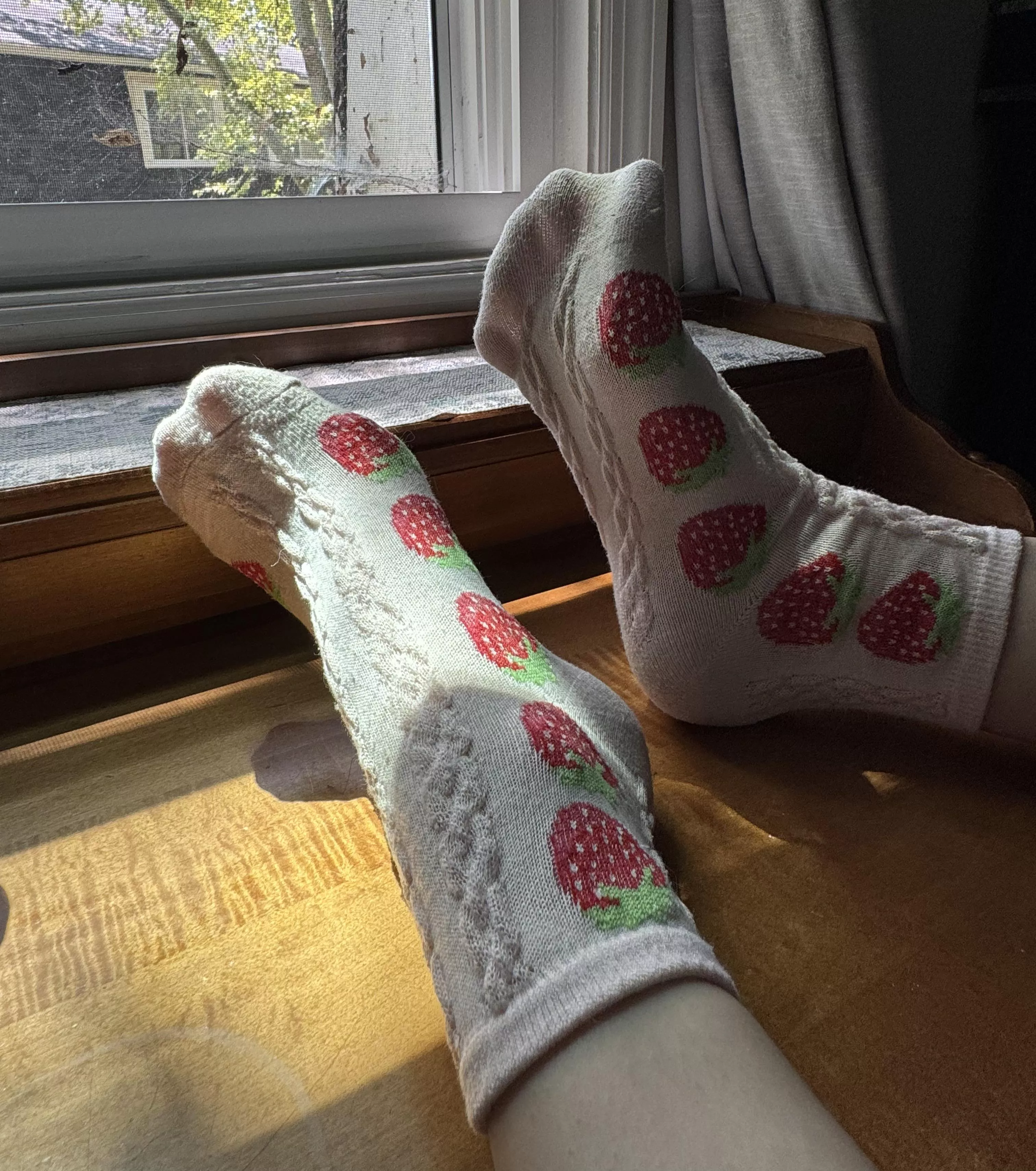 A pair of sweet socks covered in juicy strawberries posted by MilosLongToes