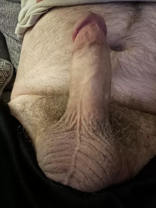 Breakfast is served! On today’s menu: sausage 😘 by I_guess_so69