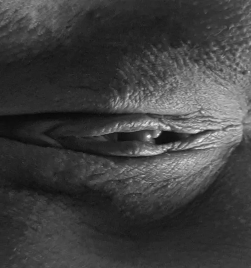 May be a pearl in that shell by funbunnycouple