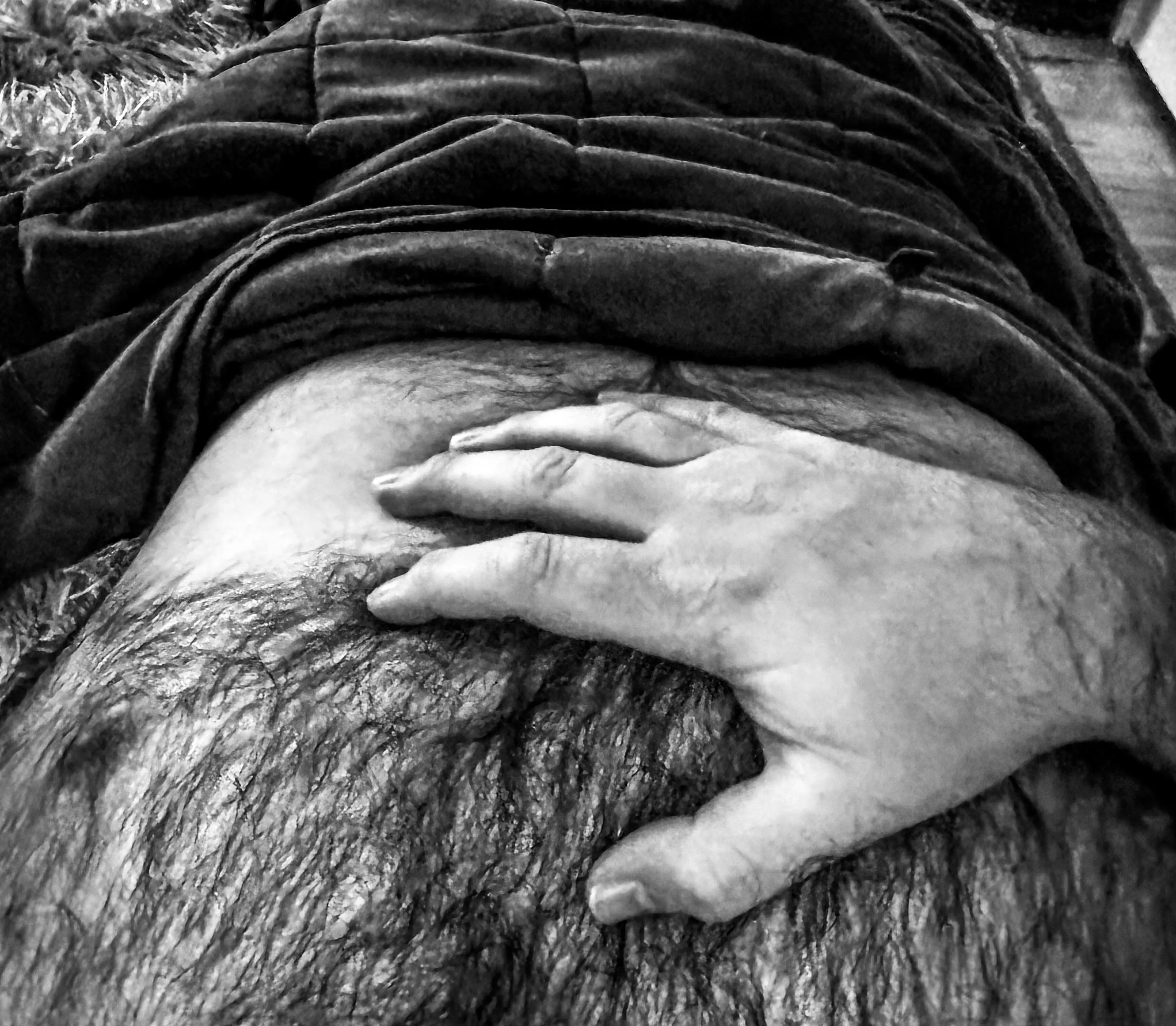 Petting myself awake posted by NathanSettle