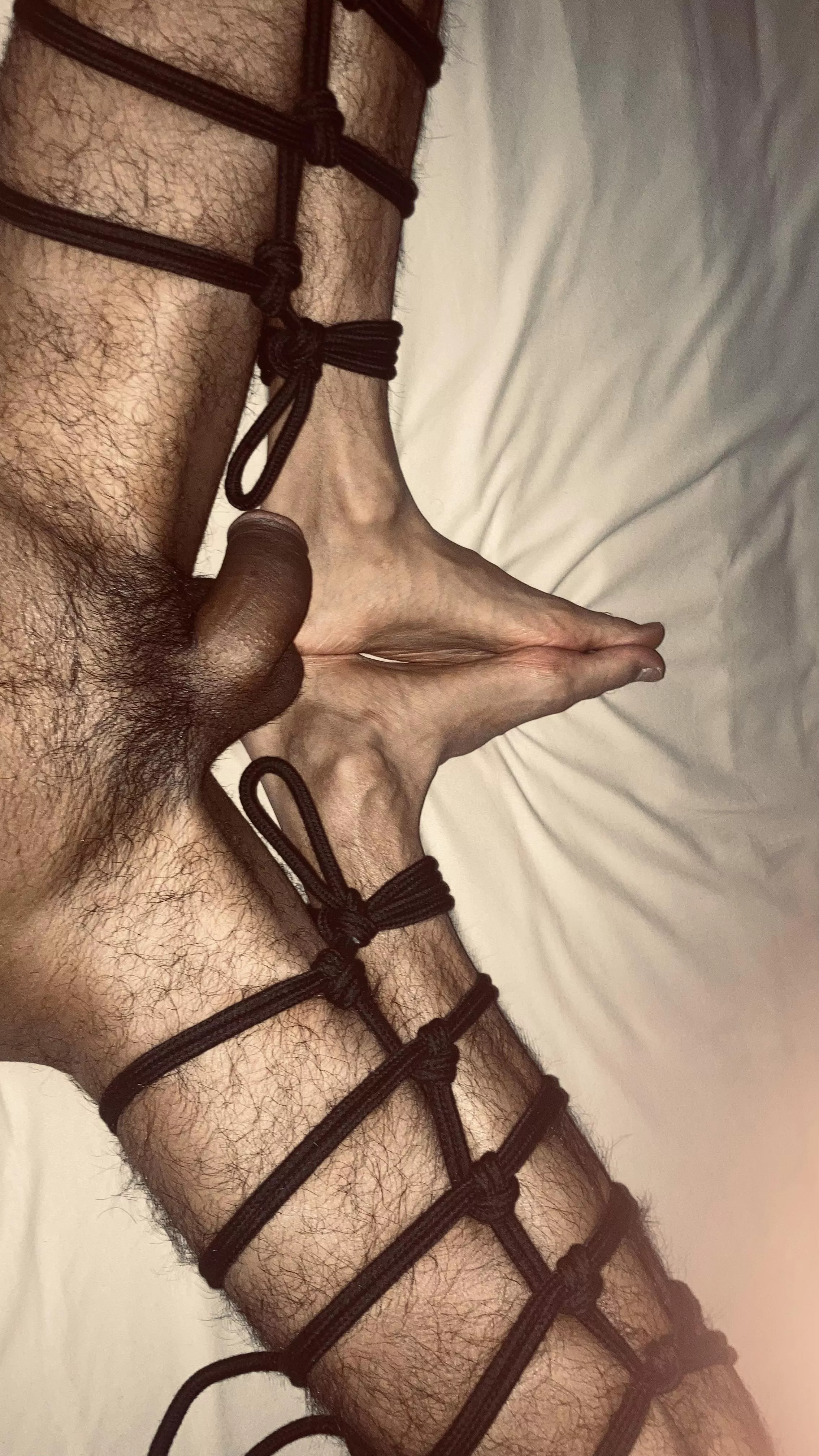 please help I'm stuck 🥺 posted by IntroductionBasic587