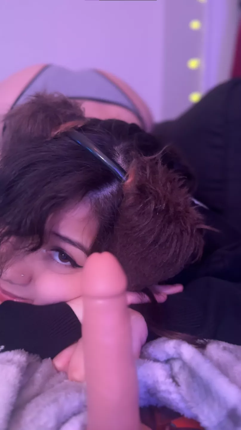 puppy in heat, ass up & ready  posted by PupFiggy