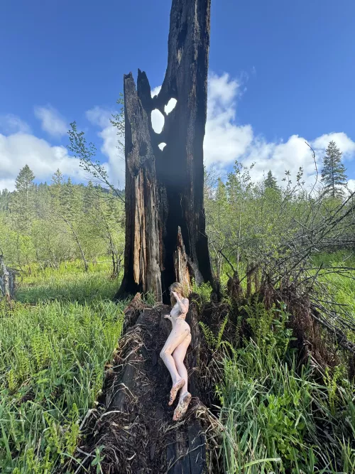 Sunrise adventure by That_Direction7489