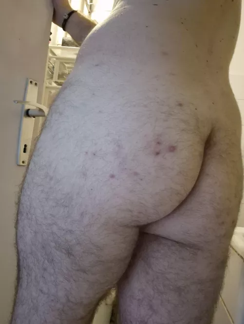 Want someone to spred them cheecks by thedalmatian