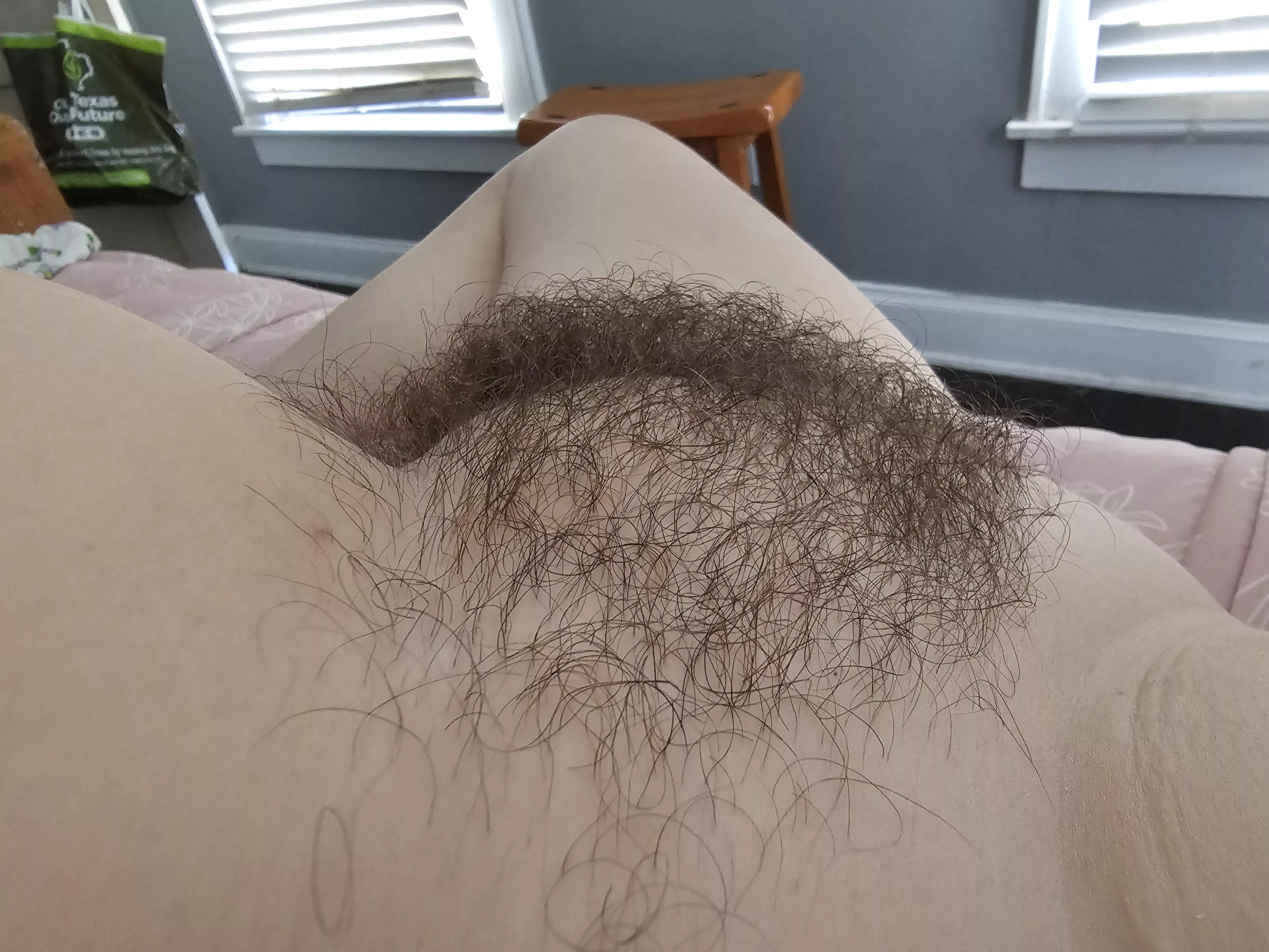 Conquer and name my hairy mound for your own posted by yourbakedbabe