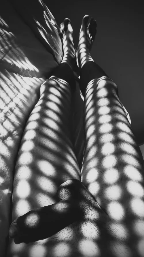 Dotted sunrise through the window 🦓 by Naughty-N-Nerdy