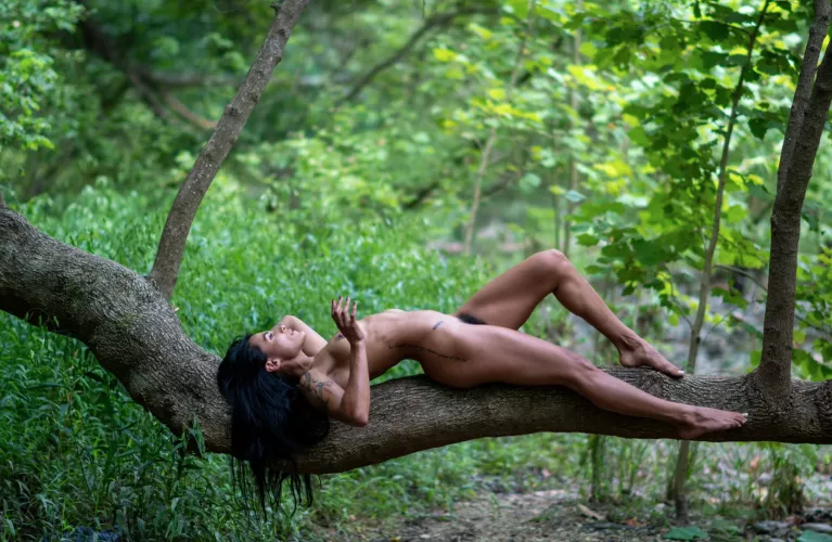 Found a nice place to rest on my adventure today by The_zyanya