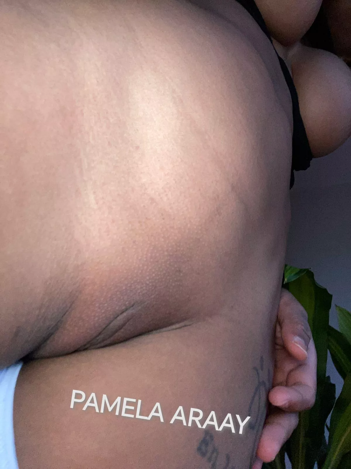 I send a kiss  posted by pamelaaraay