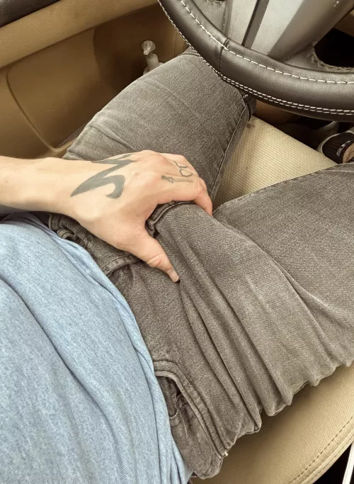 If you were my passenger princess, I’d expect you to pull it out (32). by QuirkySettler