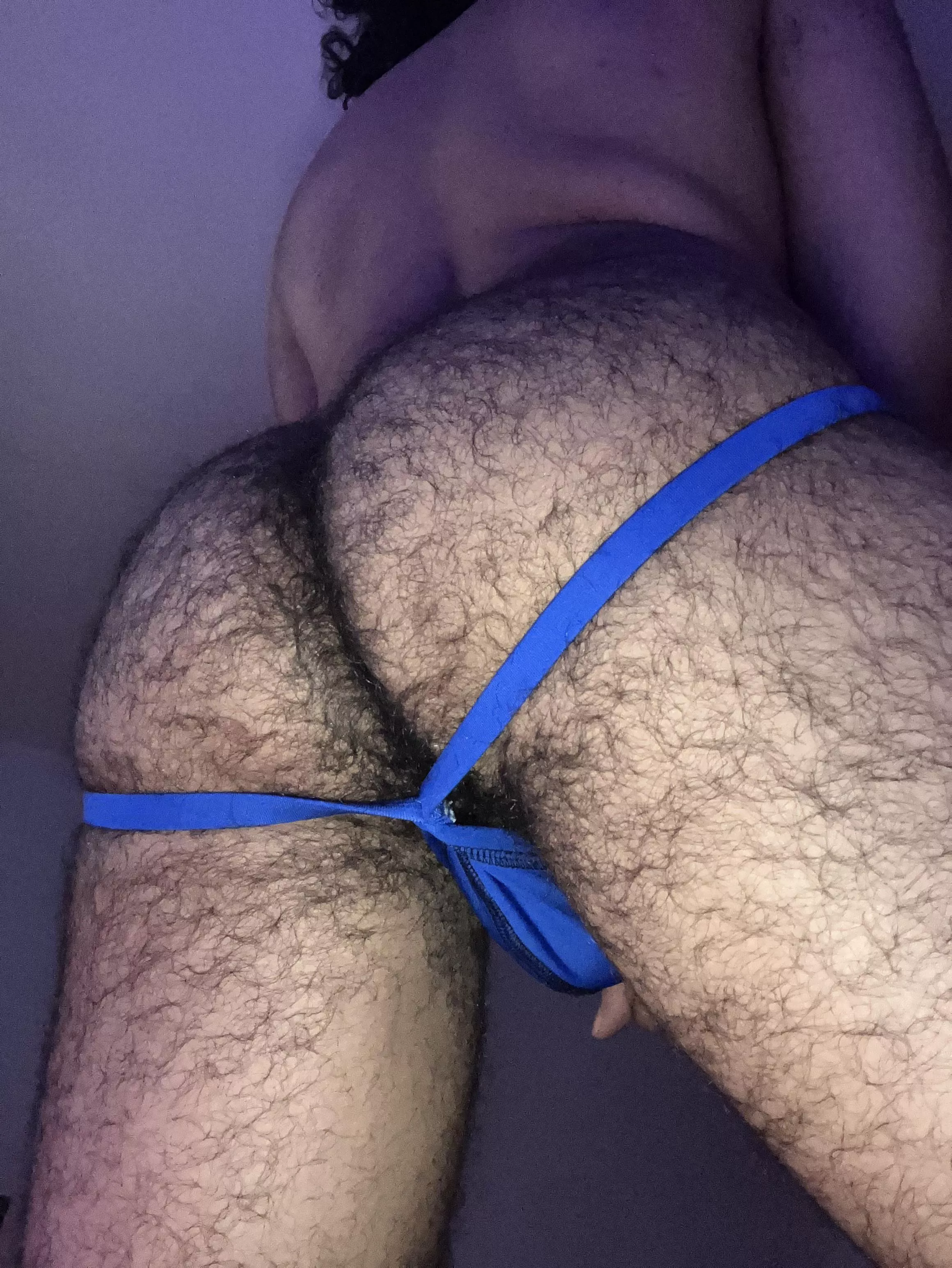 i’m going to sit on your face posted by neighborjock