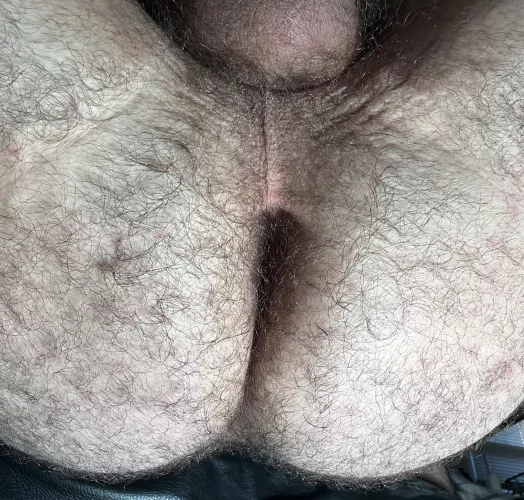 In desperate need of a face to sit/grind on... by best-hole