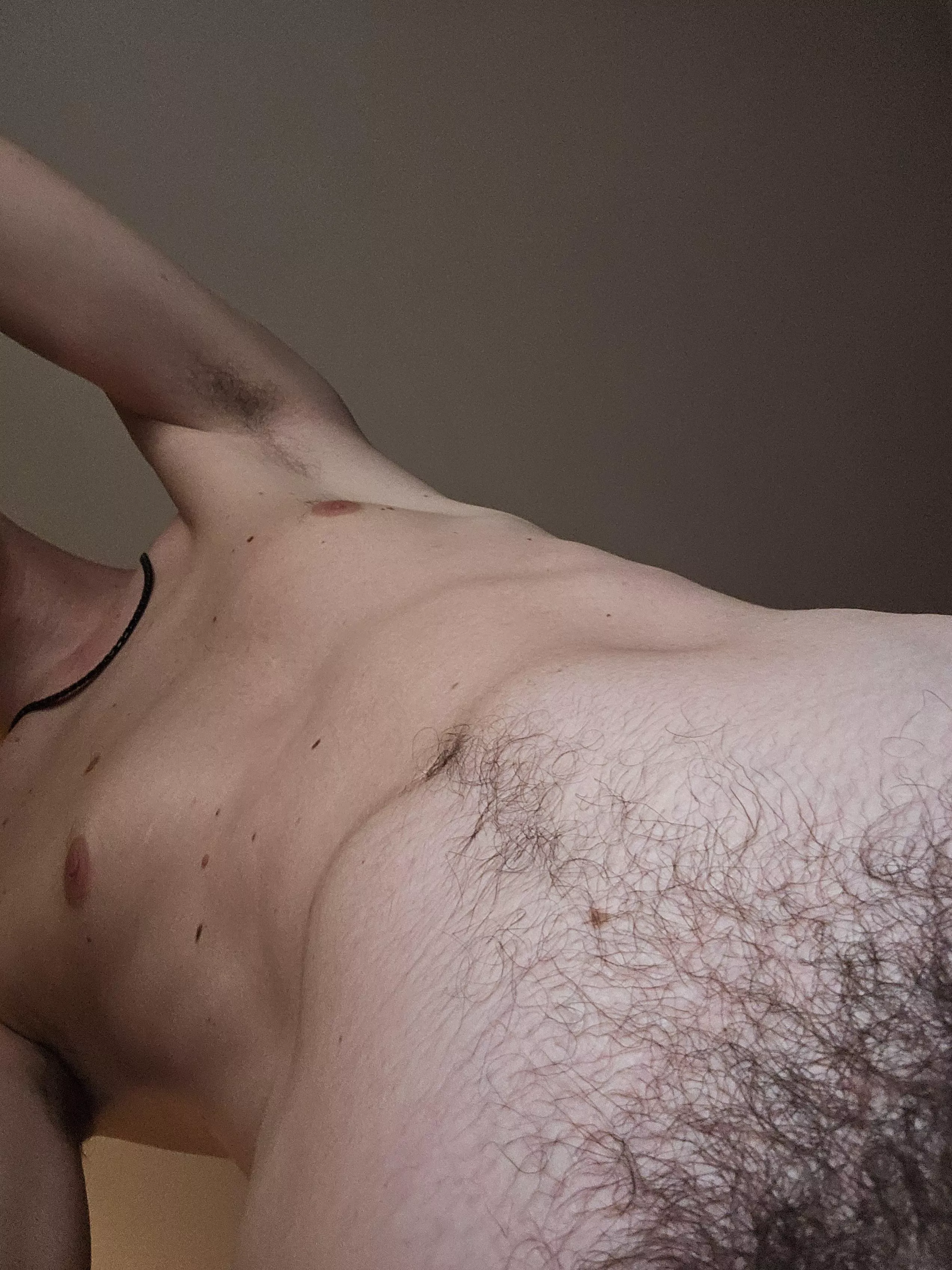 Love showing my treasure trail  posted by Commercial-Ad-8917