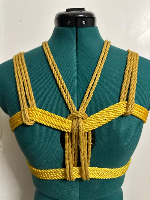 Practice makes perfect  by Any_Bottle_2951