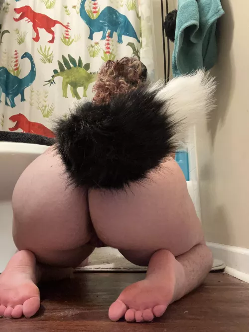 Pretty puppy  by Infinite_Claim63