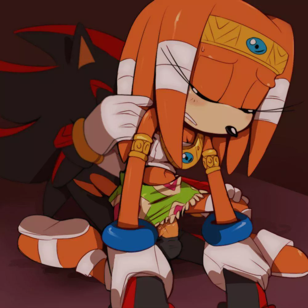 Shadow and Tikal being gentle (Incognition) posted by Incognitial