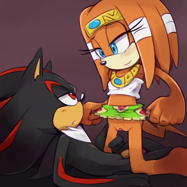 Shadow and Tikal teasing (Incognition) posted by Incognitial