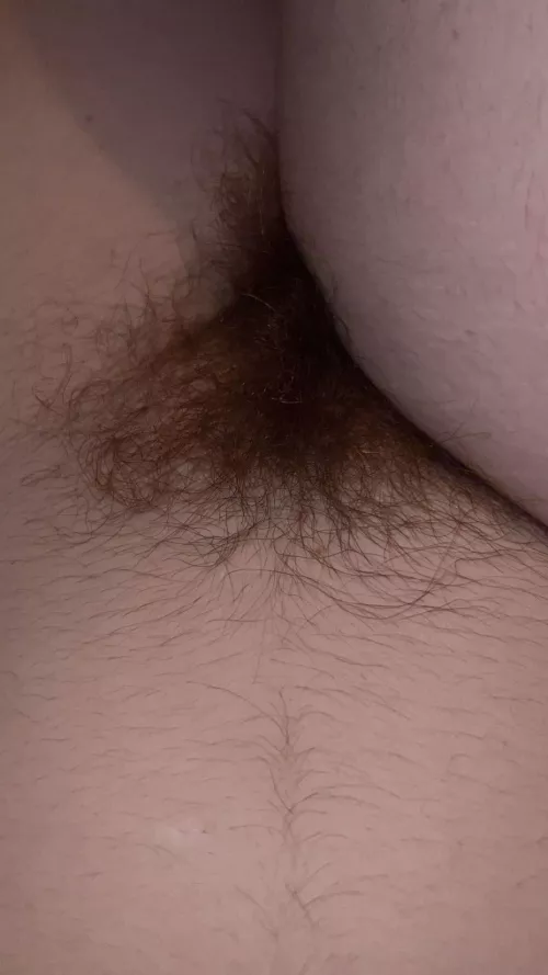 The perfect rug to curl up and take a nap on by IDKWhyIBother99