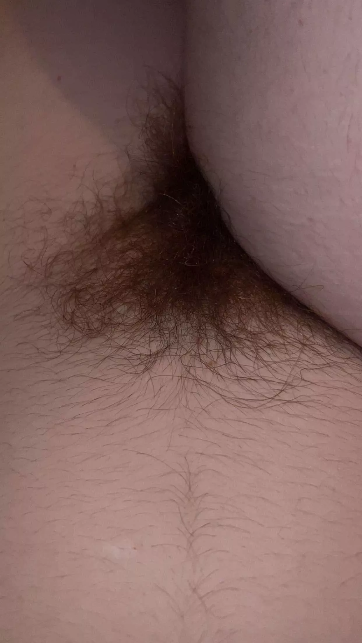 The perfect rug to curl up and take a nap on posted by IDKWhyIBother99