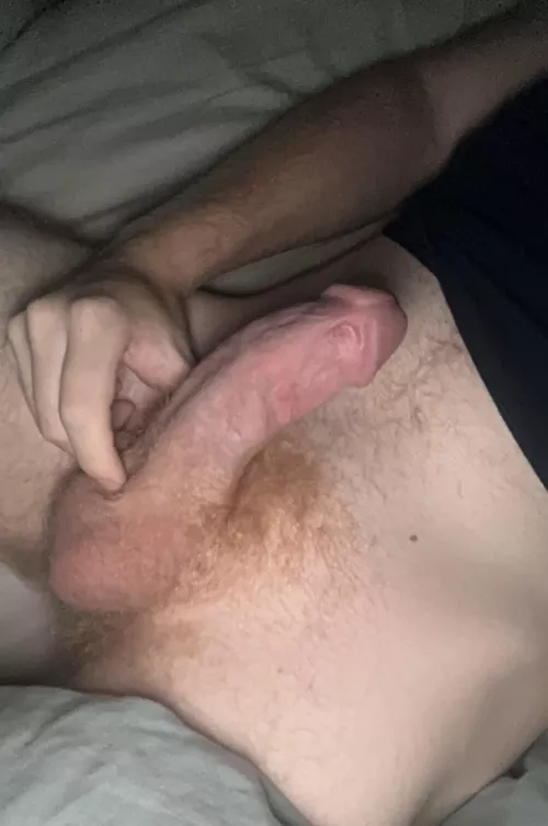 22 need help with my hairy cock, dm me :’) by mattreddit1221