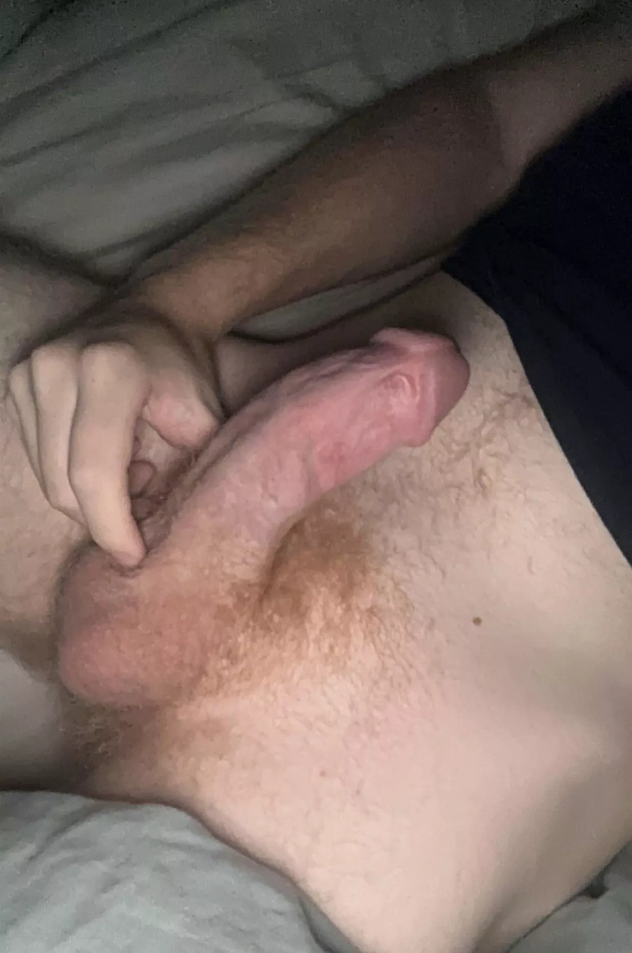 22 need help with my hairy cock, dm me :’) posted by mattreddit1221