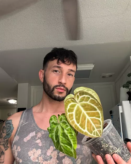 I’m a mixed boy, what mix do you think I am 😉 by notorious_dani_boy