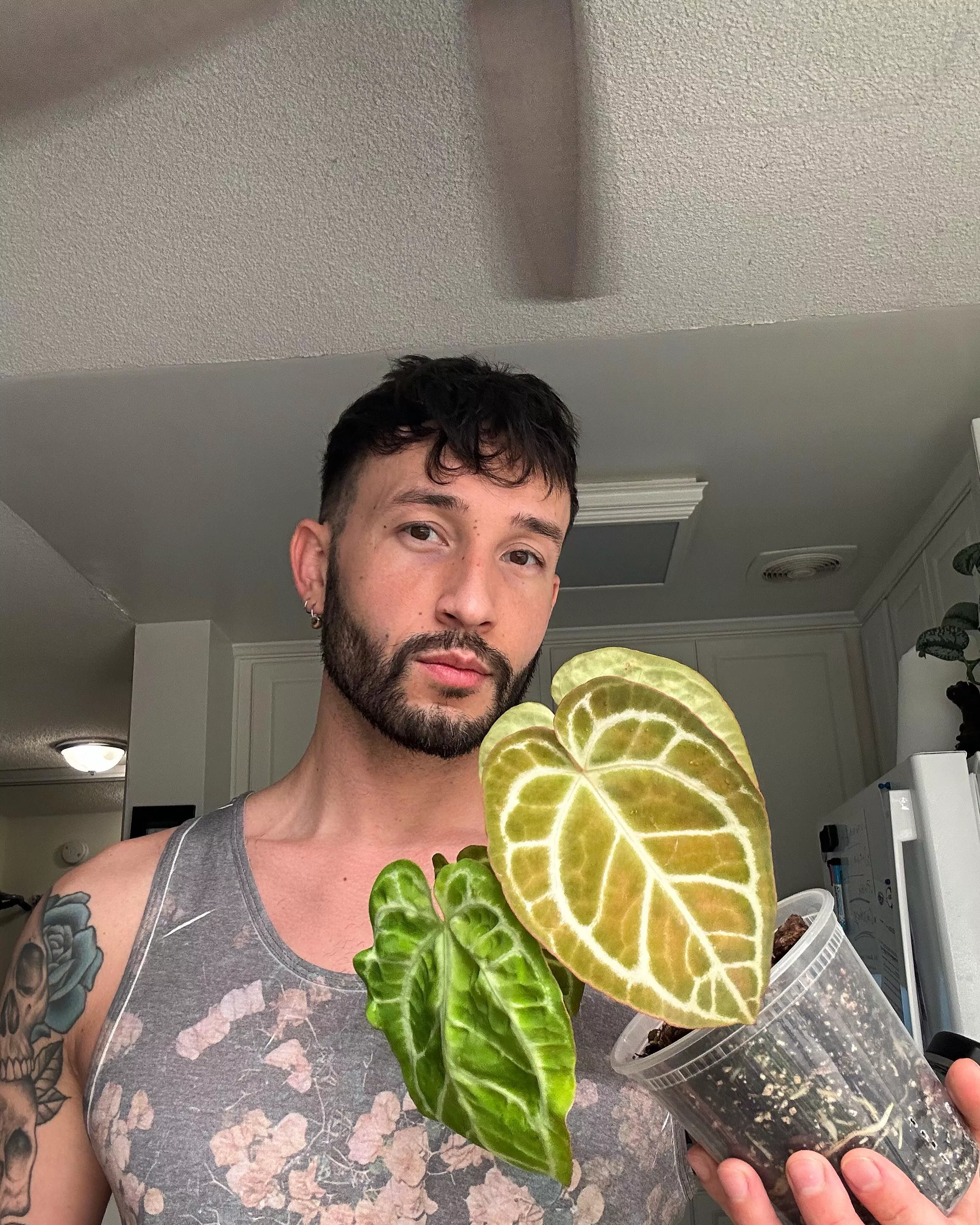 I’m a mixed boy, what mix do you think I am 😉 posted by notorious_dani_boy