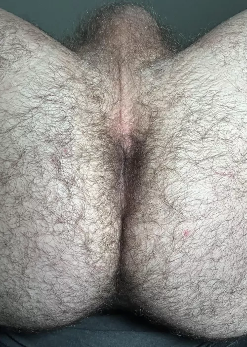 Lifelong member of the No Shave Club 🫡 by best-hole