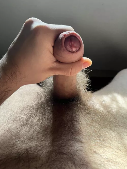 morning light felt great on my bush and dick  by hairyMtl