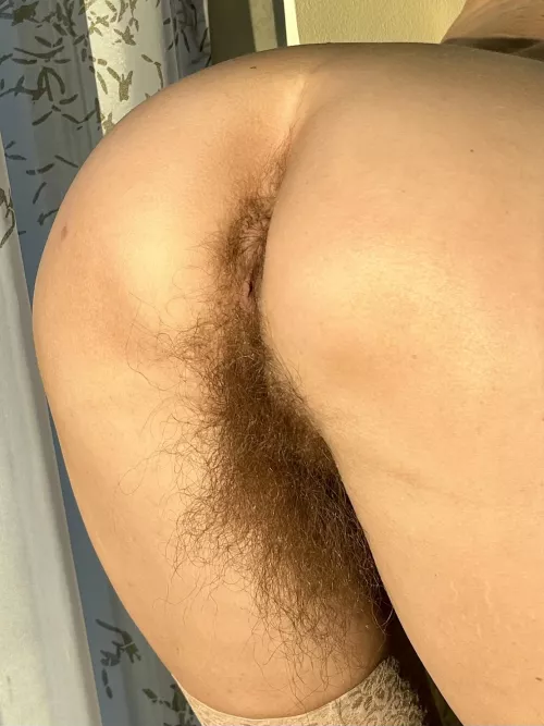 My back bus[h] is getting huge!  by hairybushsara