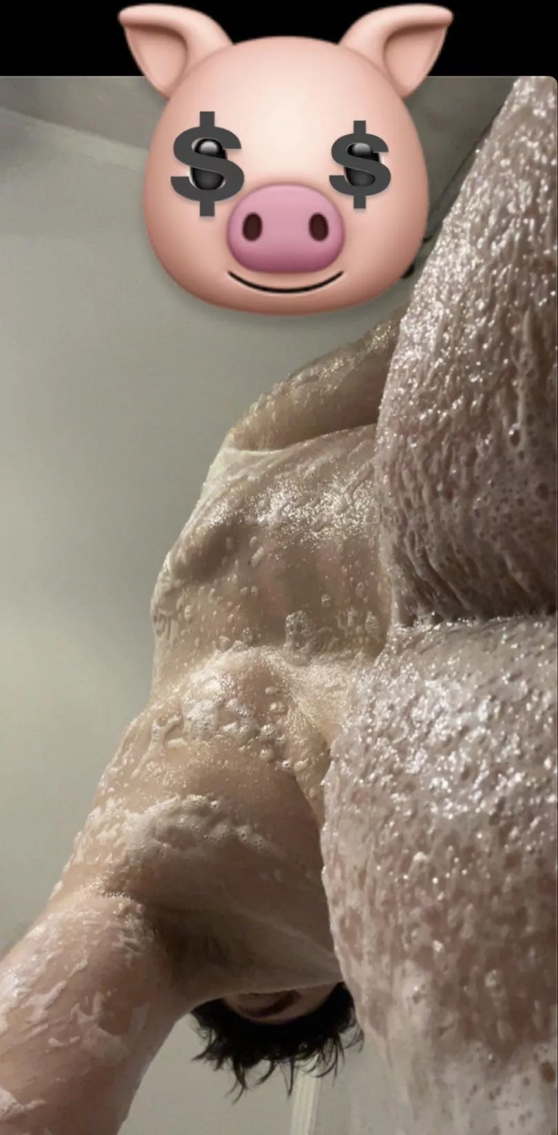 Worship my ass pigs posted by Teendomforpiggssss