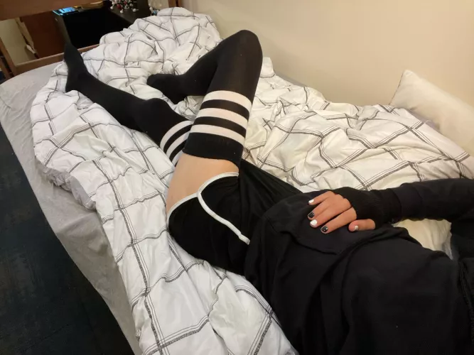 Bored :3 by Training_Hunt5077