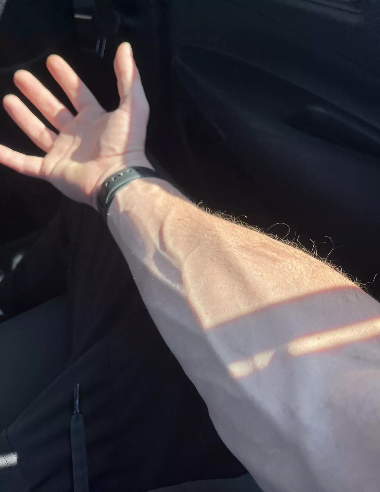 Come along for the ride ?  posted by froozenpaper