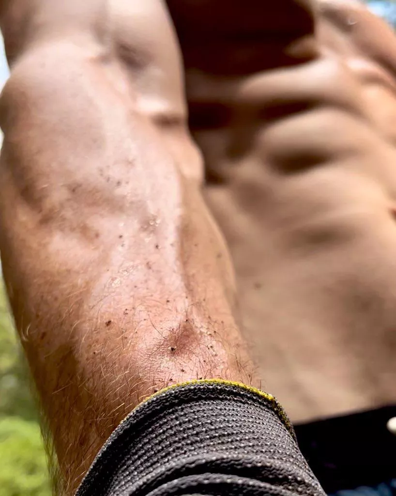 Dirt and sweat posted by Shred_and_Bread