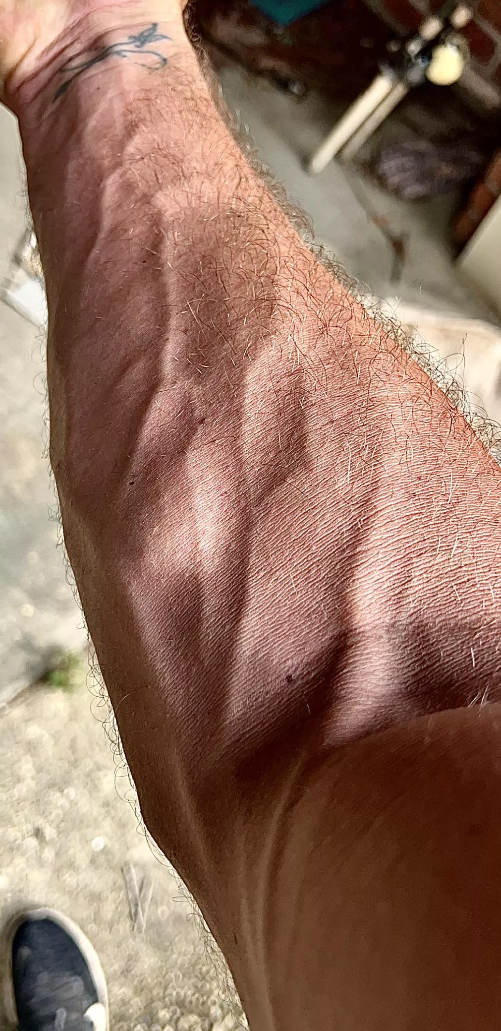 Feeling veiny this morning posted by fitframerOG