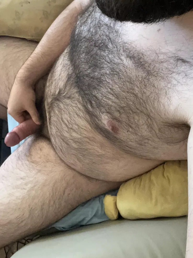 Just a hairy bear on the couch by Hairyguy_2024