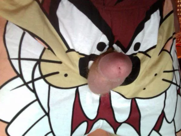 Taz’s new nose posted by redbrown0