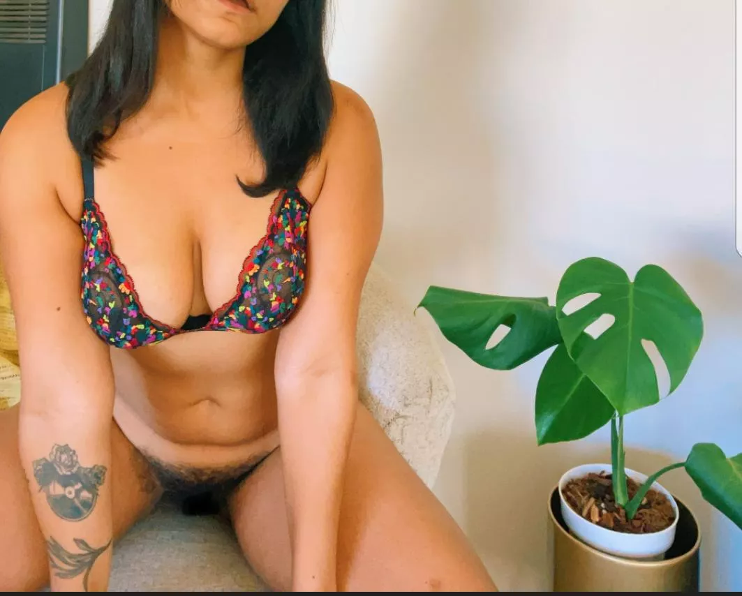 Tell me I'm your [h]airy dream girl  posted by spicymixedcougar