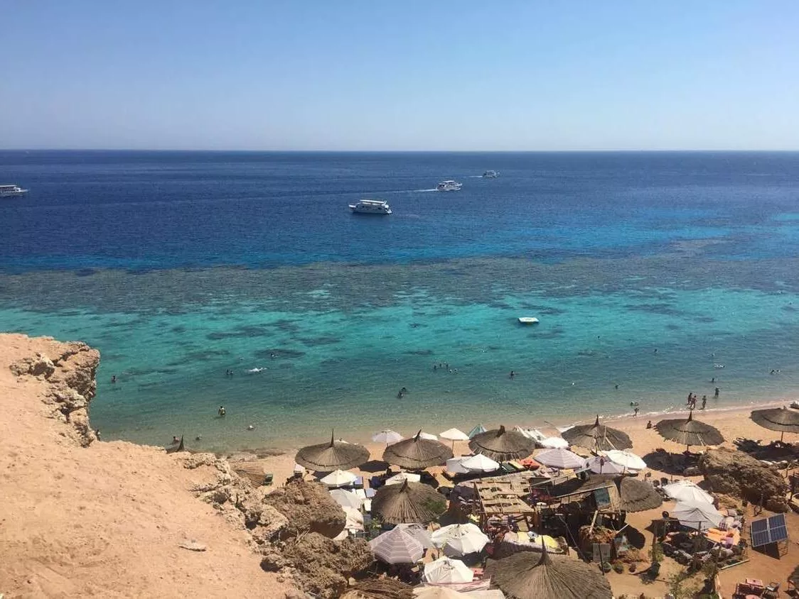 Very beautiful sea and beach, Sharm posted by AUDIJAMAJKA
