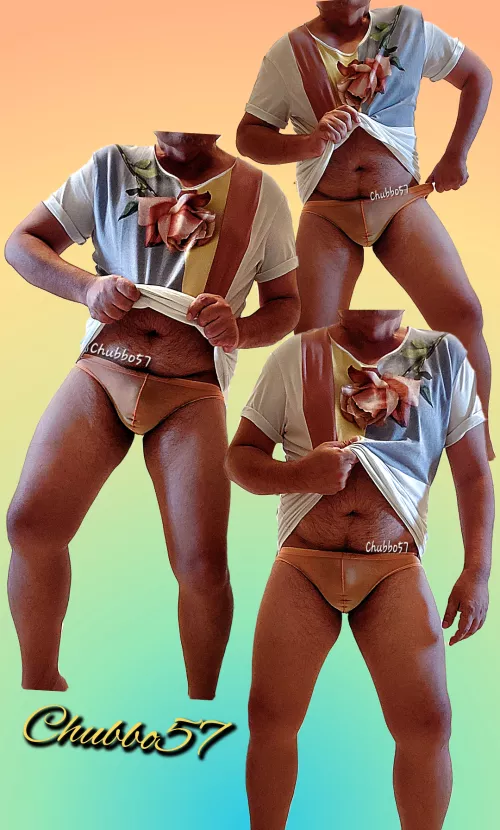 Will you accept this rose?  by chubbo57