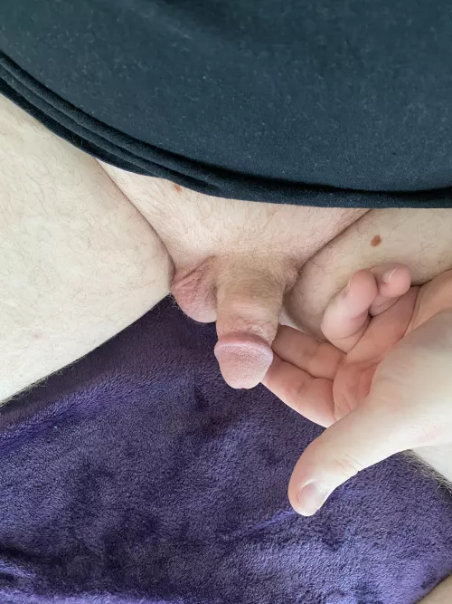 27m [m4m] - humiliate my tiny dick by thaway456456