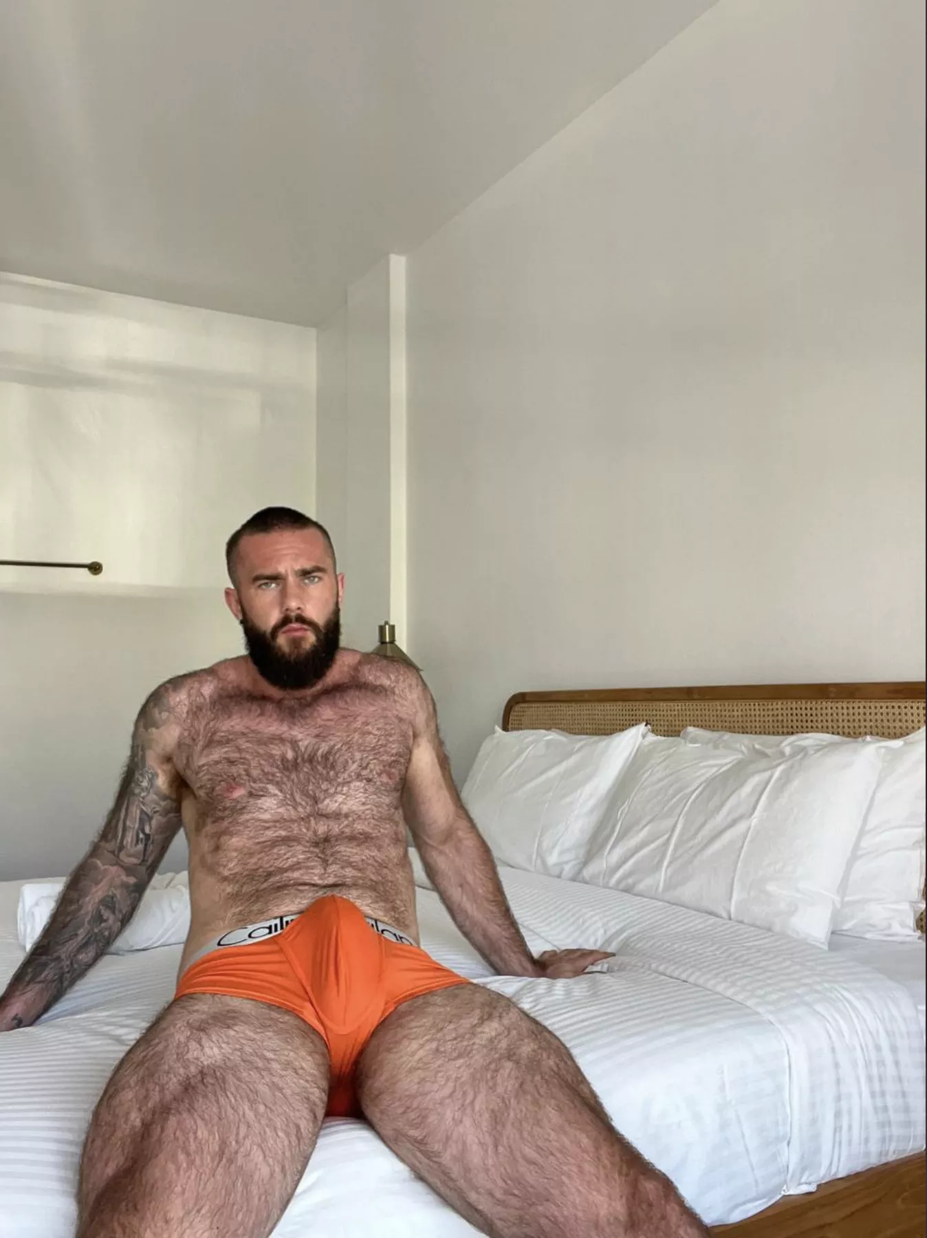 Bush or no bush?! posted by Prize-Session-2894