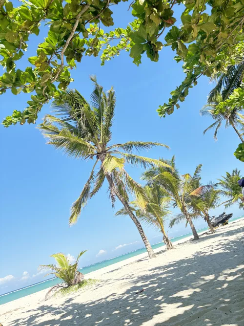 Diani - Kenya  😍 by Ivyblogs