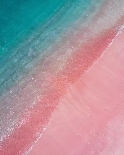 I didn't know they got pink beach. What a beauty in Komodo Island, Indonesia,  by Yourkindasnow